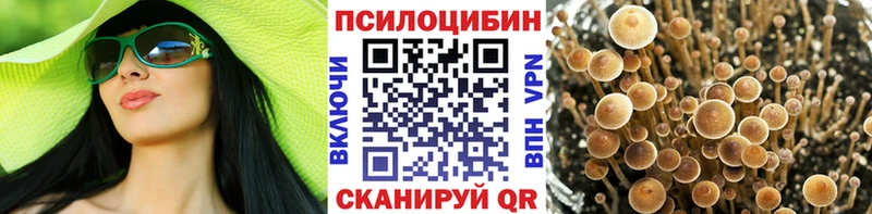 Галлюциногенные грибы мухоморы  Купить закладки  Цимлянск 